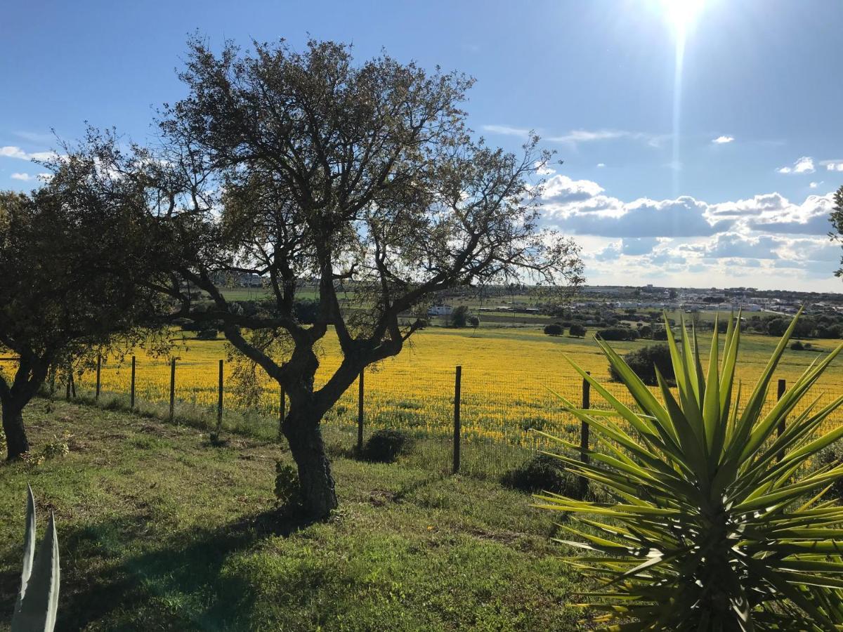Quinta Da Colina Villa Évora Dış mekan fotoğraf