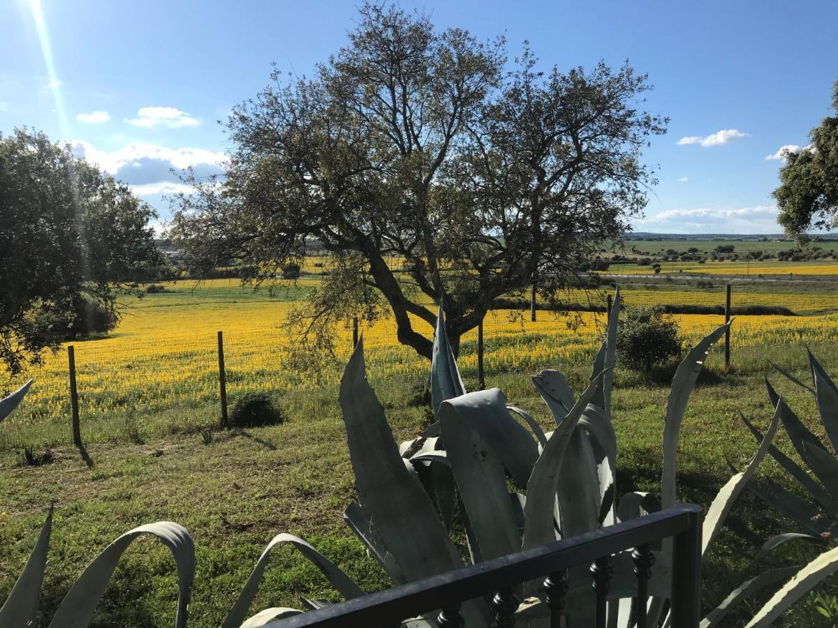Quinta Da Colina Villa Évora Dış mekan fotoğraf